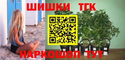 амф Дубна